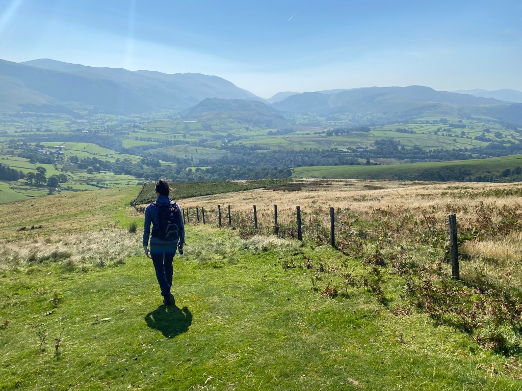 Sheep grazing in upland&nbsp;areas…