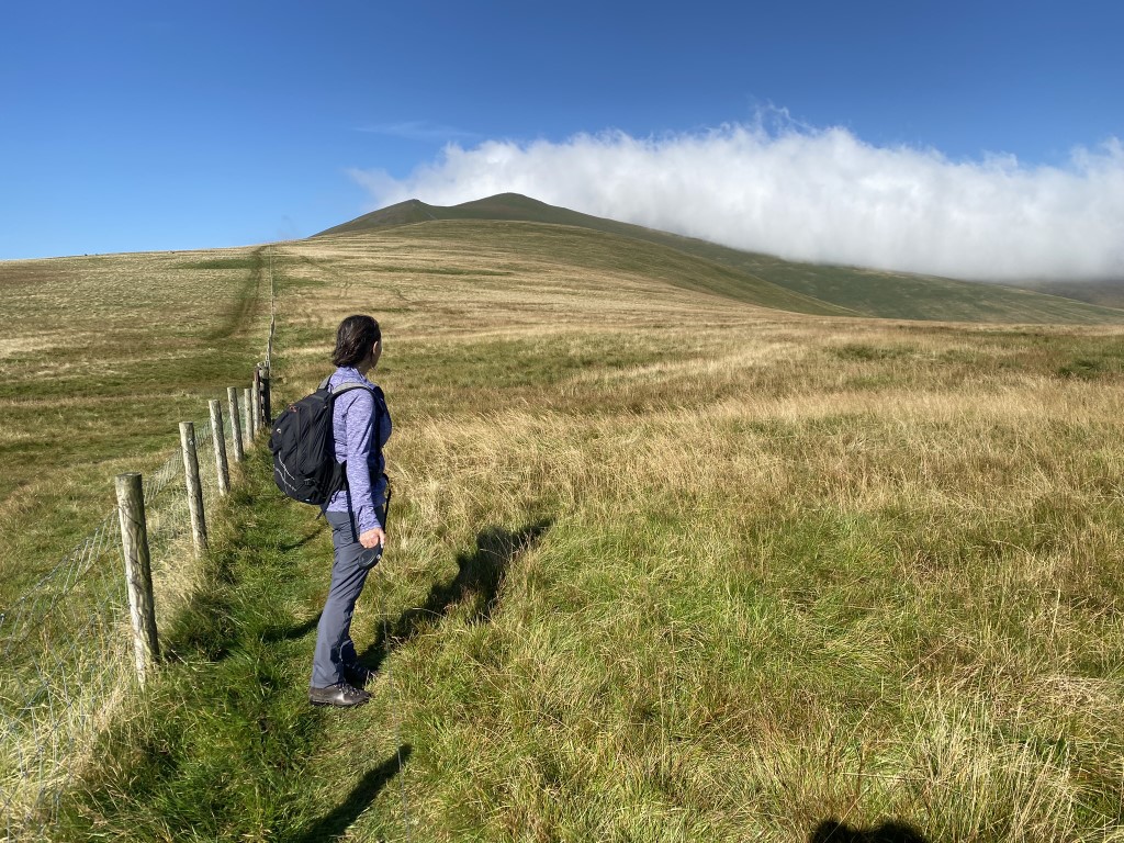 Reviving a Lost Temperate Rainforest: Restoration Efforts Begin on Skiddaw in the Lake&nbsp;District