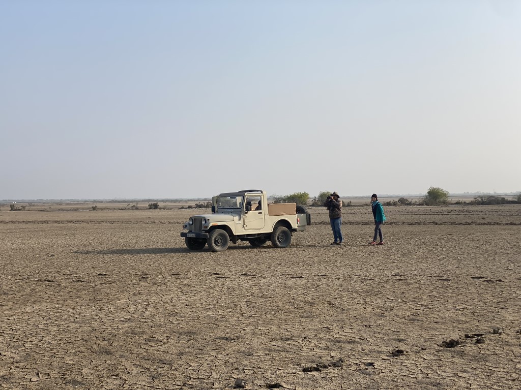 The Indian Wild Ass: The Enduring Spirit of the Rann – Andrew Chick Ecology
