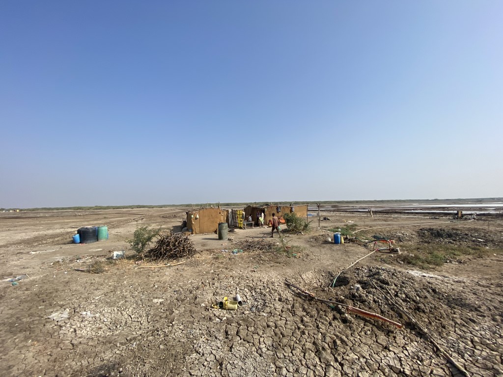 The Indian Wild Ass: The Enduring Spirit of the Rann – Andrew Chick Ecology