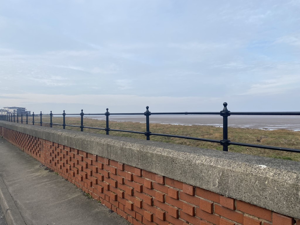Looking for the Knott End Black&nbsp;Redstart