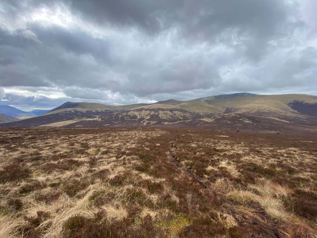 Great Calva: A Sentinel Over Skiddaw&nbsp;Forest