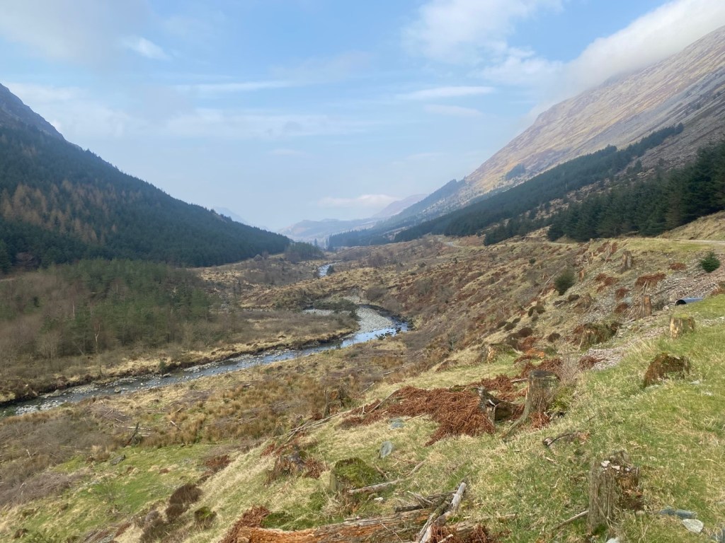 Wild Ennerdale