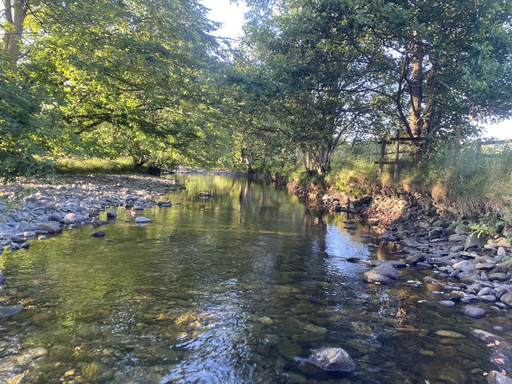 Plant recording in&nbsp;SD3999