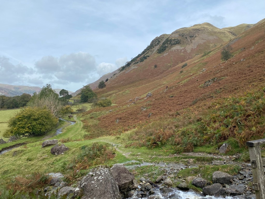 Why Bracken Turns Red in the British&nbsp;Countryside